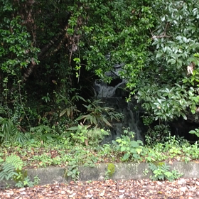 今日も早出の画像