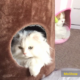 失敗(≧∀≦)の画像