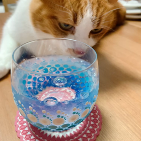 密かに復活してみる（何度目？笑）の画像