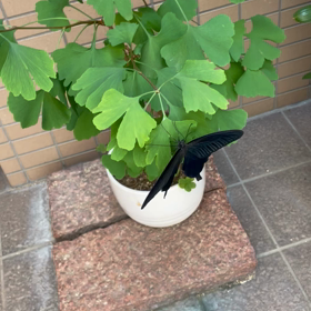 一息入れようの画像