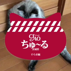 それからのトイレ事情の画像