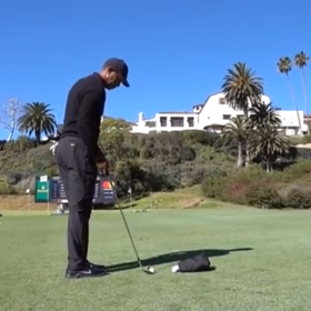 タイガーアプローチを研究の画像