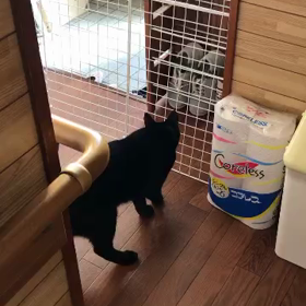 脱走計画の画像