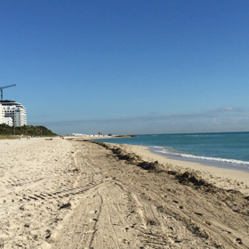 マイアミビーチ（動画）の画像