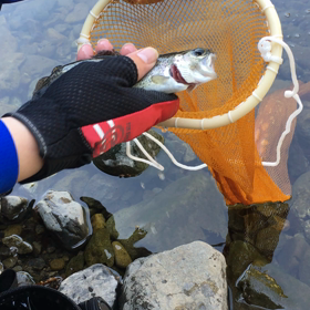 ニジマス釣りの画像