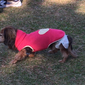 転んじゃったの画像