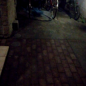 徘徊わだちの画像