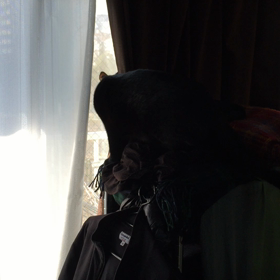 おはようございます。の画像