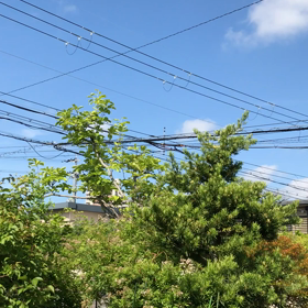 きむマガ　〜帰ってきたユーチューバー(2020年6月)の画像