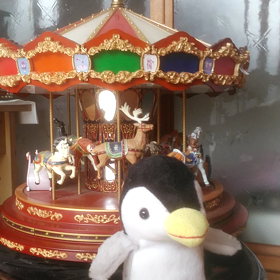 晩秋にペンちゃんと遊ぶの画像