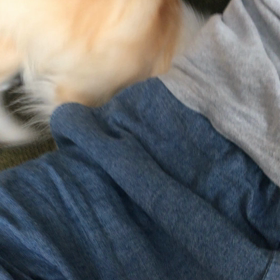 掘り掘りの画像