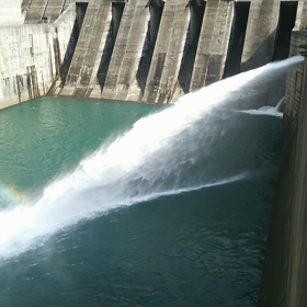 山へ散策に行って来ましたの画像