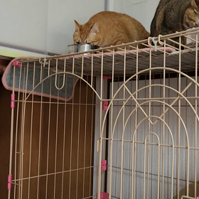 少し朝は寒いの画像