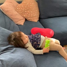 おとなしいと思ったらの画像