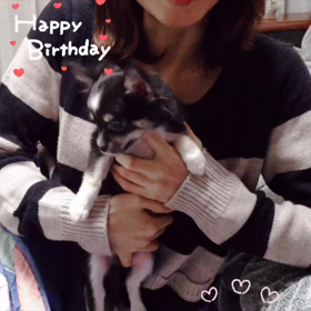 おまけ♪の画像