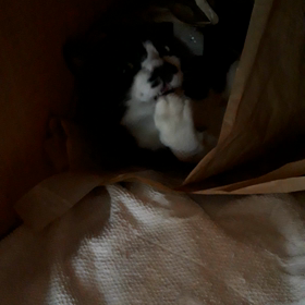 2連勤終了の画像