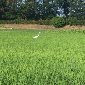 早寝早起きリハビリ再開の画像