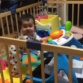 孫1号くん歩いたの画像