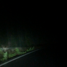 帰ってまーす♪の画像