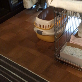 食後の運動の画像