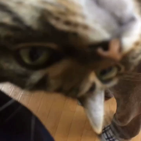 うり(191) 包帯の交換 前編 5/21の画像