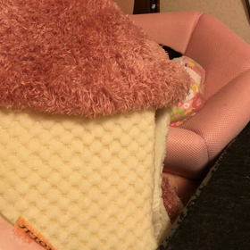 昨晩のことにゃの画像