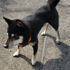 ベランダでの画像