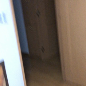 ほらほらやっぱり〜だから　もー。びっくりデールそこにいた？の画像