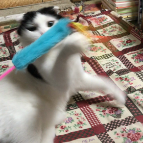 久しぶりの画像