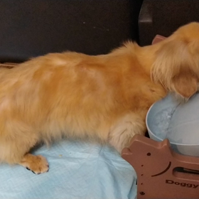 水が湧いてる〜の画像