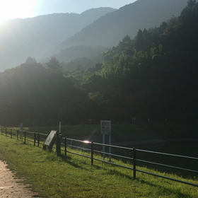 昨日の散歩よりの画像