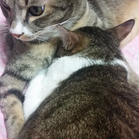 ロッキーを抱いて無表情のレオの画像