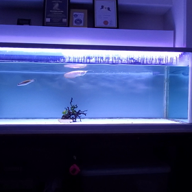 水槽売れましたの画像