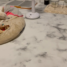 今日もお仕事の画像