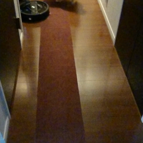 老犬   新たな出会い♪の画像
