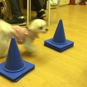 お手本だわね。の画像