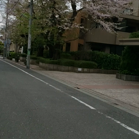 おうちに帰ろうの画像