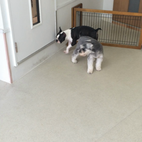 ♪プレイルーム動画♪①の画像