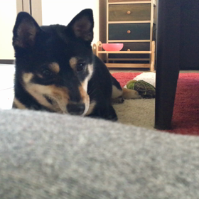 真剣…？(^^;;の画像