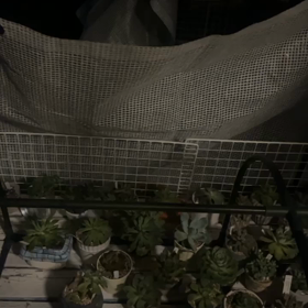 南関東昨日の夜から大雨の画像