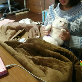 やられ放題の画像