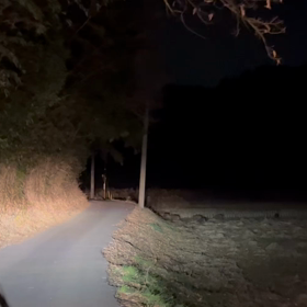 リアルどうぶつの森⁈の画像