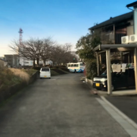 2/7いよいよ雪のない冬になりそうですの画像