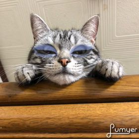 寝疲れ。。の画像