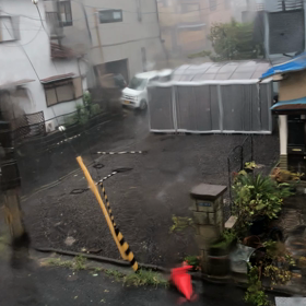 落ち着きませんの画像