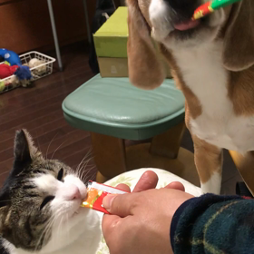 また来てね‼︎の画像