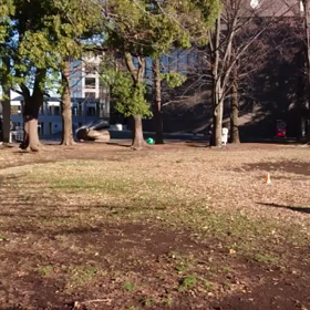 ジャベリックボール投げ⑤の画像