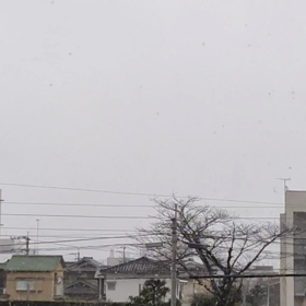 寒い寒い寒い！の画像