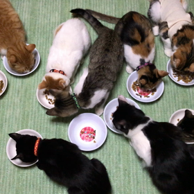 壮絶!朝ごはん☺️の画像