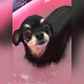 温浴シリーズ　その②の画像